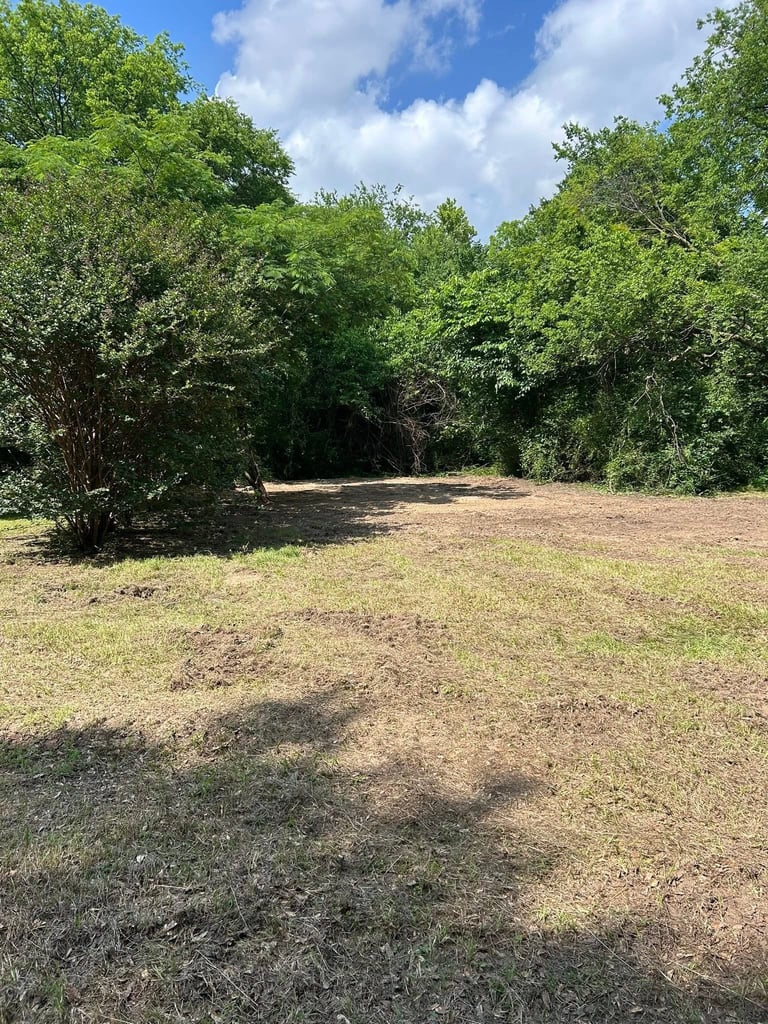 Open field with dirt path leading into dense green trees under blue sky with white clouds